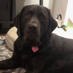 Meet your Posher, Kelly